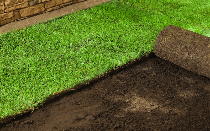 Sod Installation Services in Simi Valley, CA