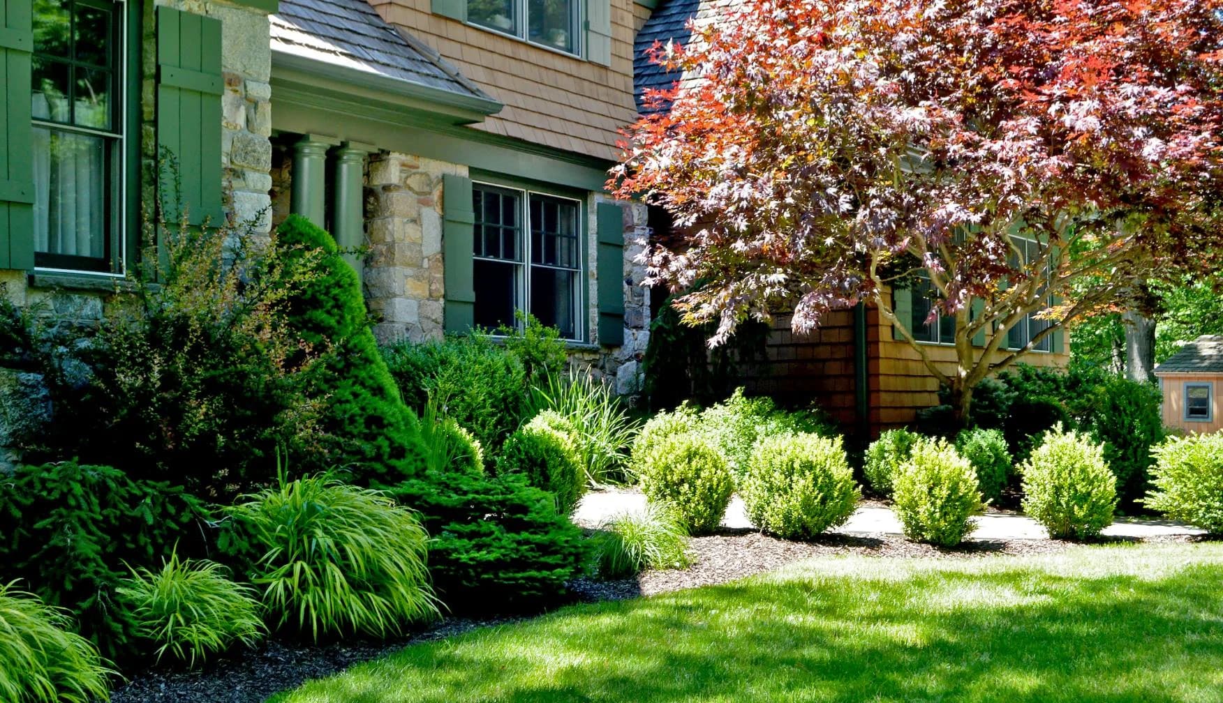 Tree & Shrub Planting Services in Simi Valley, CA